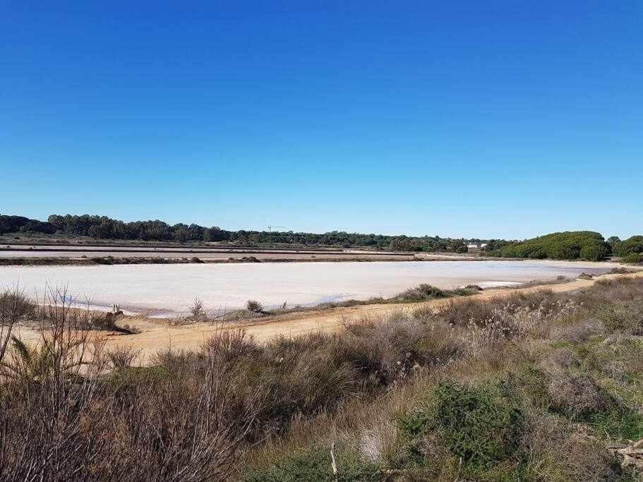 Вілла Ria Formosa Pineview Фару Екстер'єр фото