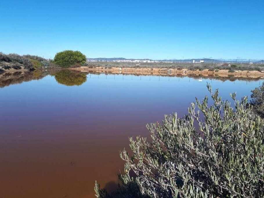 Вілла Ria Formosa Pineview Фару Екстер'єр фото